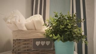 Studio Central Exer IV - 1