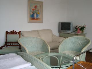 Villa Olivia - Praga - 6