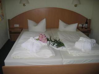 Hotel Goldener Karpfen - Aschaffenburg - 2