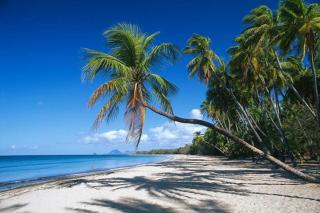 Little Paradise - Sainte-Anne - 7