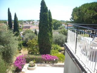Villa Lina B&B - San Felice Circeo - 2