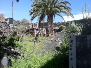 La Finca Uga - Uga - 3