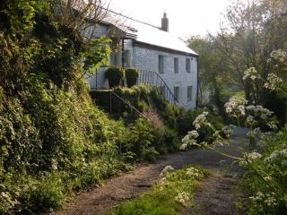 Spring Cottage B&B - 4