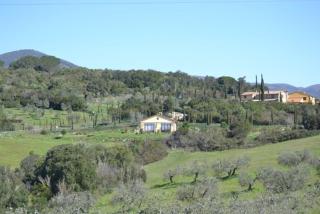 Podere Serra destri - 8