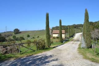 Podere Serra destri - 7