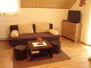 Apartments Pavlić - Rakovica - 5