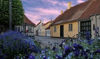 City Hotel Nattergalen - 6