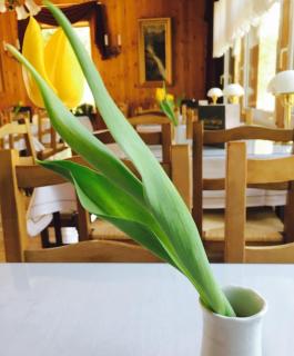 Bergcafé Mendorf - Treseburg - 3