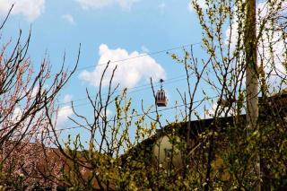 Feel Old Tbilisi - Tbilisi - 9