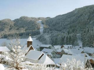 Ferienhaus Kramser - 0