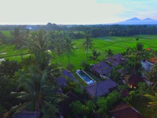 Lodtunduh Sari - Ubud - 0