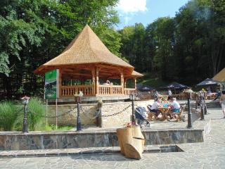 Suior Resort Baza - Baia-Sprie - 8