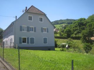 Gite Au Pays Welche - Lapoutroie - 9