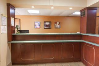 Red Carpet Inn Elkton - Elkton - 7