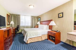 Days Inn by Wyndham Windsor Locks / Bradley Intl Airport - 6