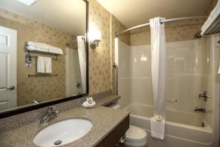 Holiday Inn Lethbridge by IHG - Lethbridge - 3