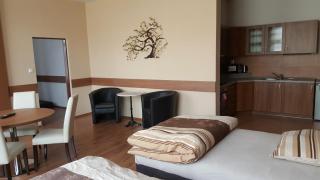 Penzion 324 - Štoky - 8