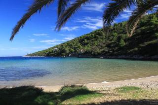 Apartments by the sea Cove Stoncica, Vis - 8941 - 4
