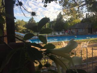 Complejo de Cabañas Pach - Flo - 3