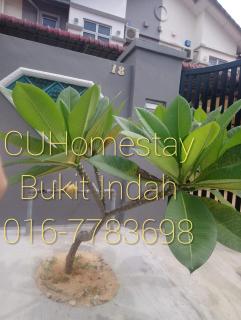 JB Homestay Bukit Indah WiFi CIQ Mall Legoland Free Parking - 5