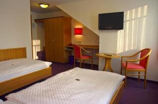 Hotel Park Eckersbach - Zwickau - 2