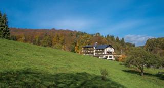 Natur & Wander Hotel Gassbachtal - Grasellenbach - 8