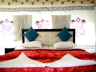 Nubra Leisure Camp - 7