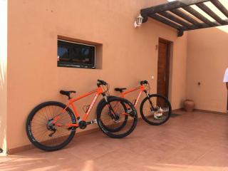 Cardon Big Calm 12 - Costa Calma - 9