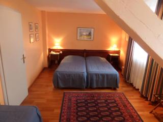 Hôtel Restaurant Erckmann Chatrian - Phalsbourg - 7