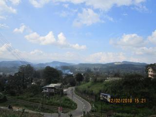 Tree House Holiday Home - 1