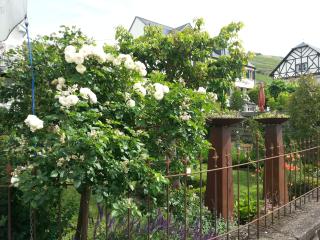 Das Rosenhaus - Lieser - 7