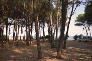 Oasi del Governatore - Squillace - 2
