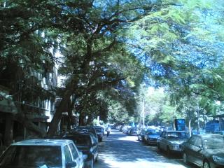Furnished Flat in Cairo zero one zero one zero six seven nine two four four - Cairo - 6