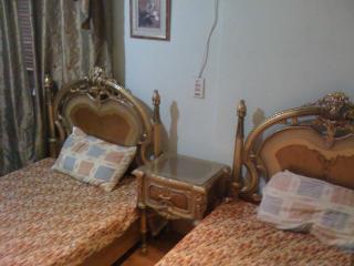 Furnished Flat in Cairo zero one zero one zero six seven nine two four four - Cairo - 5