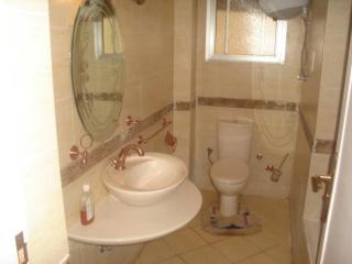 Furnished Flat in Cairo zero one zero one zero six seven nine two four four - Cairo - 9