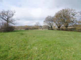 Les Marronniers - La Chapelle-sous-Brancion - 2