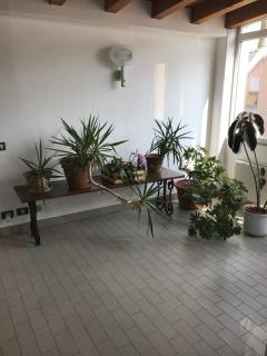 Guesthouse Flora - Lodi - 8