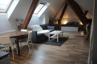 Appartement et gîte Chez l'Habitant - Guebwiller - 8