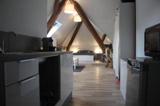 Appartement et gîte Chez l'Habitant - Guebwiller - 2