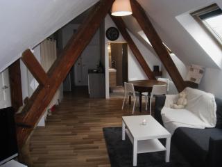 Appartement et gîte Chez l'Habitant - Guebwiller - 4