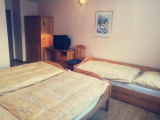 Hotel Olympia - Saas-Almagell - 1