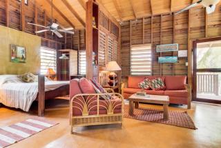 Amanda's Place Casa Amancer - sea view, pool and tropical garden - Caye Caulker - 4