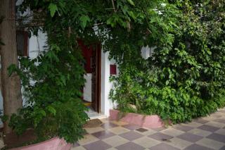 Staggia Studios - Sami - 5
