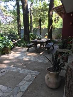Refugio en el bosque de agua en Cuernavaca - Cuernavaca - 5