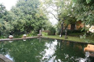 Quinta de Santa Maria - Ponte de Lima - 8