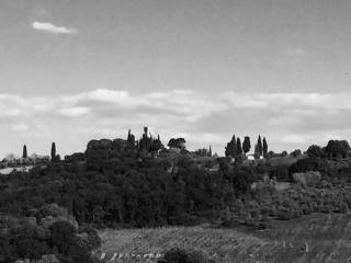 Podere Villabassa - Montespertoli - 1