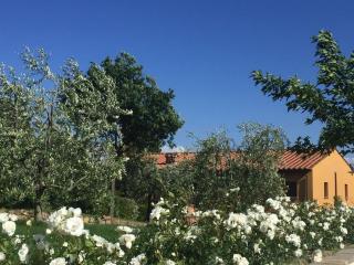 Podere Villabassa - Montespertoli - 4