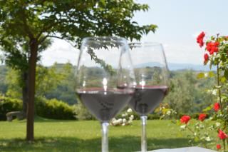 Podere Villabassa - Montespertoli - 5