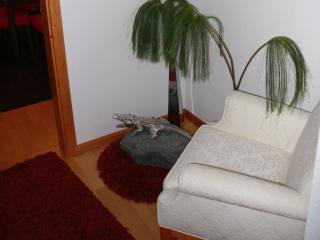 Ferienwohnung Christa - Sankt Märgen - 7