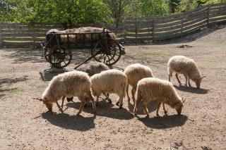 Páratlan Apartmanház - 2